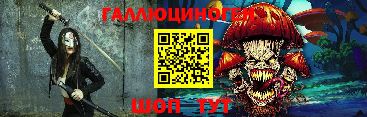 Галлюциногенные грибы Psilocybine cubensis Кубинка