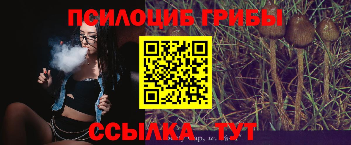 как найти   Галлюциногенные грибы Magic Shrooms  Вход с VPN  Кубинка 